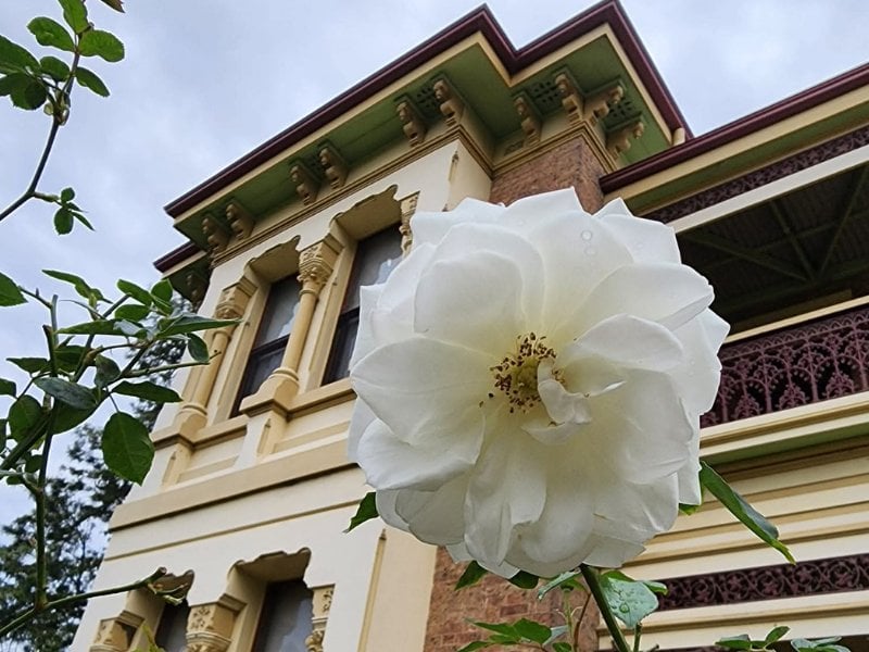 maitland heritage guardians – 2